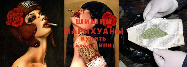 Альфа ПВП Осинники