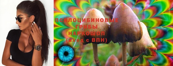 СК Осташков