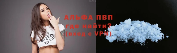 Альфа ПВП Осинники