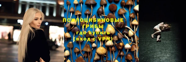СК Осташков