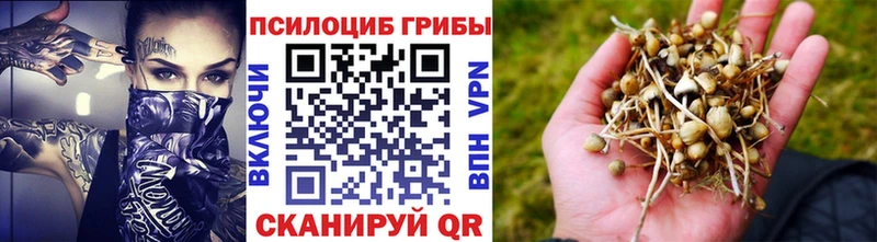 Псилоцибиновые грибы MAGIC MUSHROOMS  Скопин 