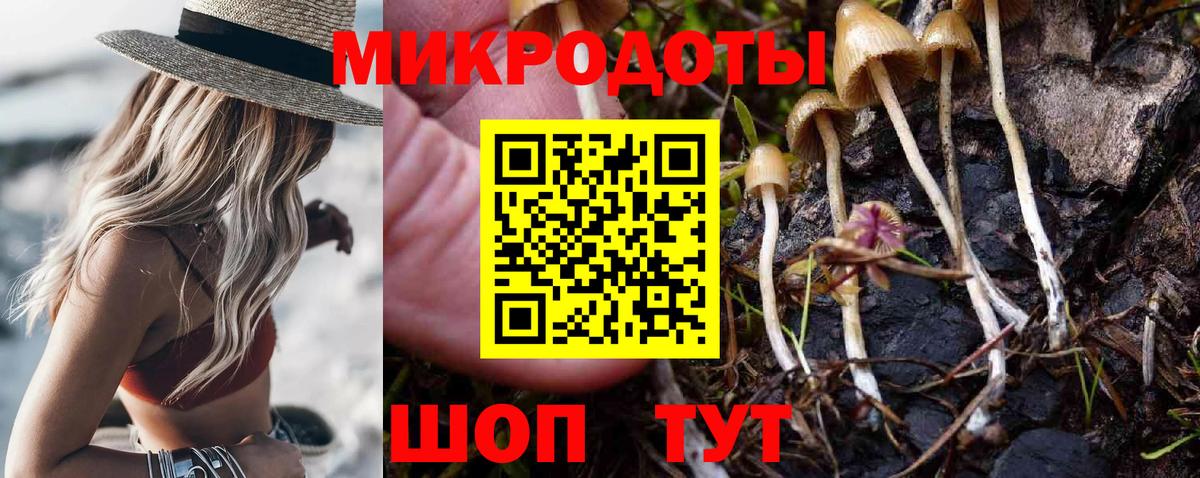 Галлюциногенные грибы Psilocybine cubensis Скопин