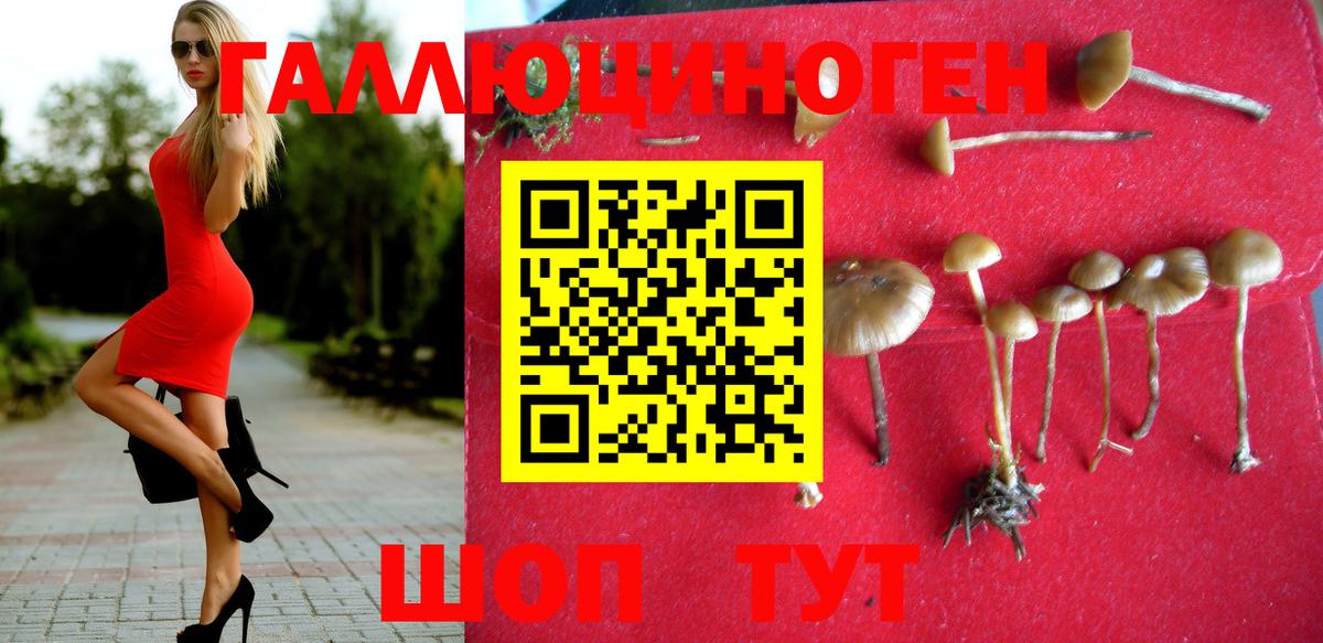 Галлюциногенные грибы мухоморы  Вход с VPN  Галлюциногенные грибы Cubensis  Скопин 