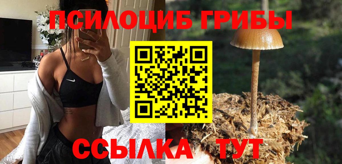 Псилоцибиновые грибы MAGIC MUSHROOMS  Скопин  Псилоцибиновые грибы Magic Shrooms 