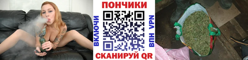 купить наркотик  Скопин  Каннабис Bruce Banner 